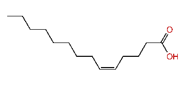 (Z)-5-Tetradecenoic acid